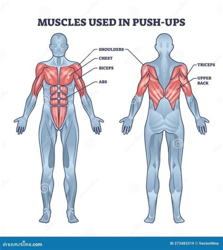 What are 3 muscles used when completing overhead press?