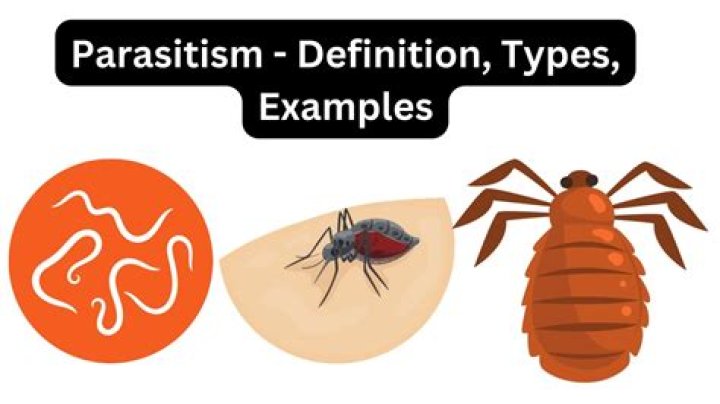What are 4 examples of parasitism?