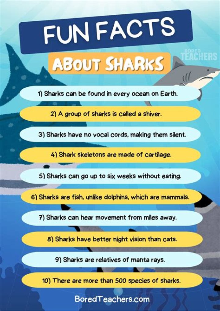 What are 5 interesting facts about sharks?