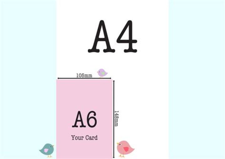 What are A6 cards?