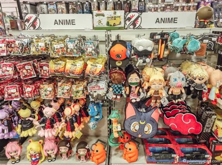 What are anime stores called in Japan?