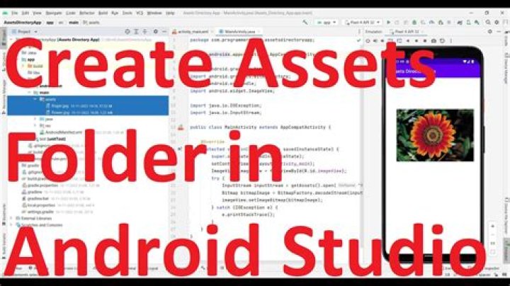 What are assets in Android Studio?