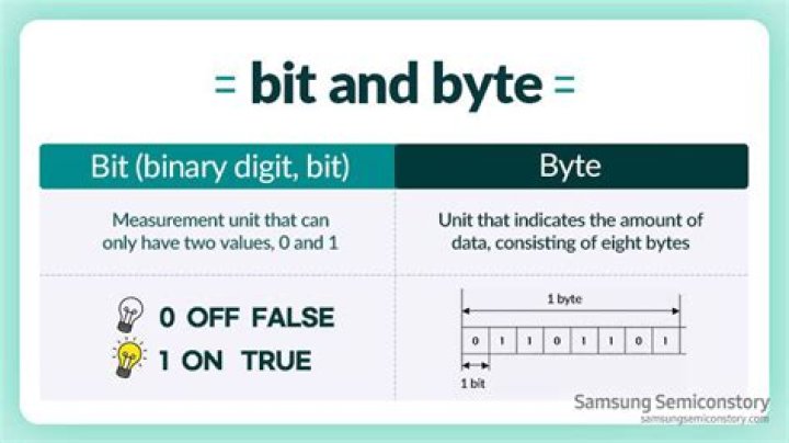 What are bits bytes and words?