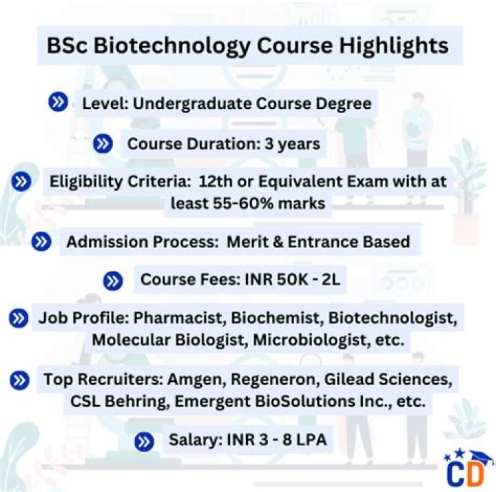 What are BSc technology courses?