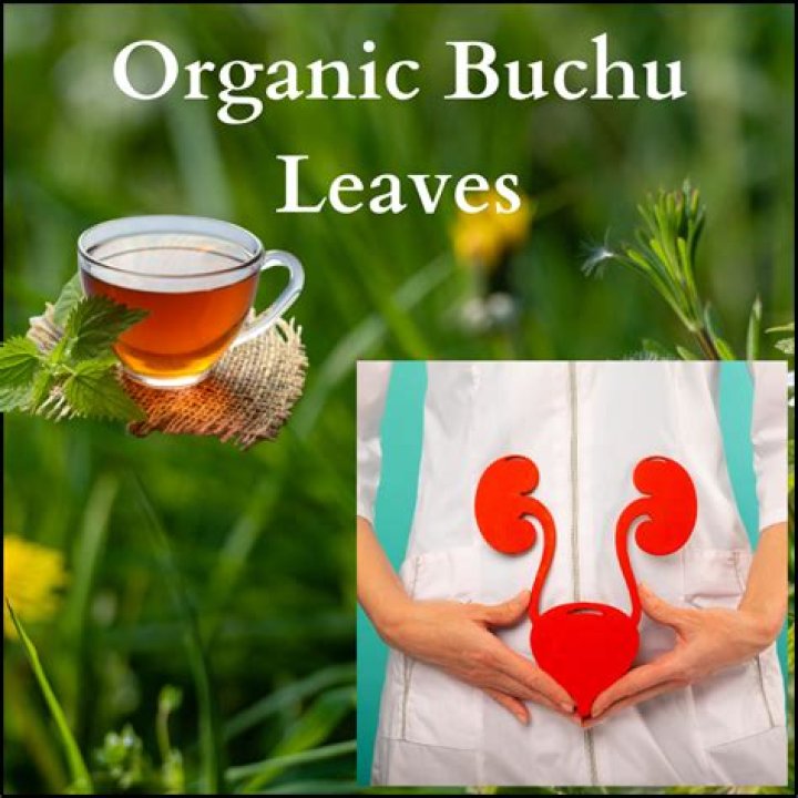 What are buchu leaves used for?