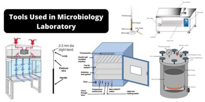 What are carboxysomes in microbiology?