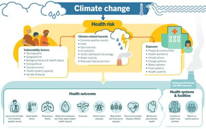 What are climate change activities?