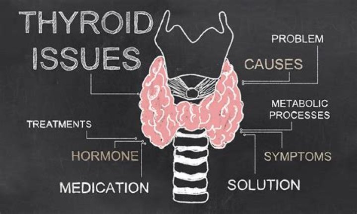 What are common thyroid disorders?