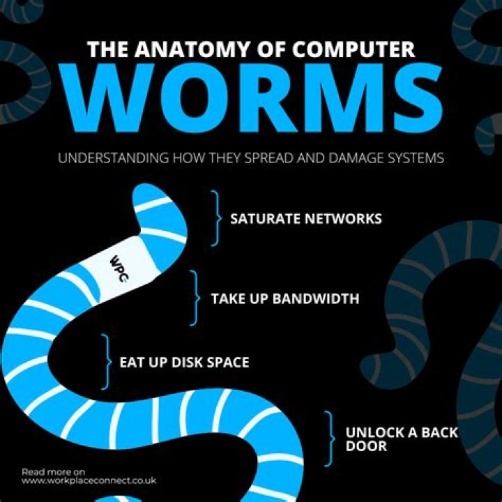 What are computer worms?