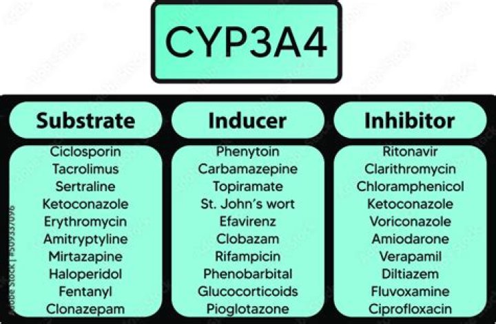 What are CYP3A inducers?