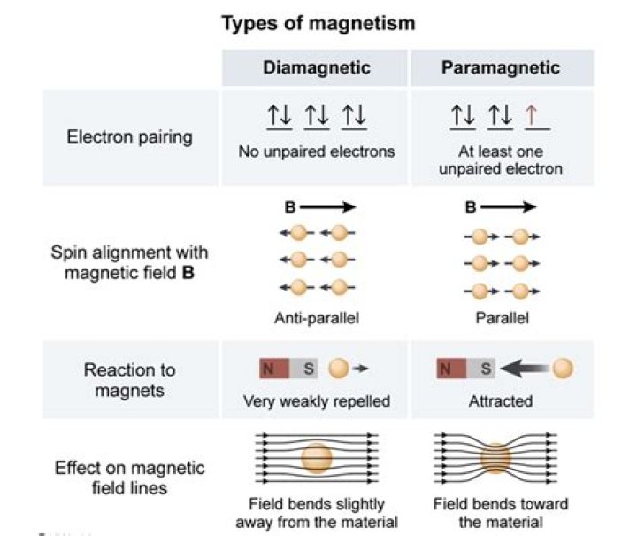 What are diamagnetic properties?
