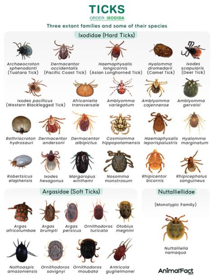 What are different kinds of leave?
