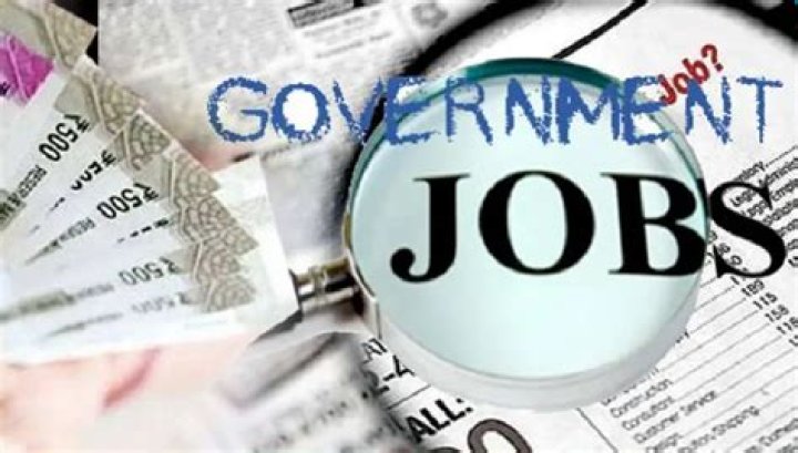 What are different types of government jobs?
