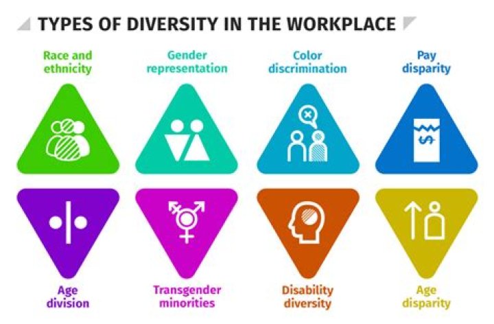 What are diversity issues?