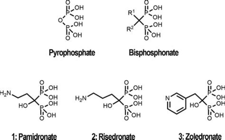 What are examples of bisphosphonates?