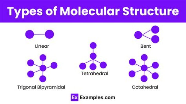 What are examples of molecular chaperones?