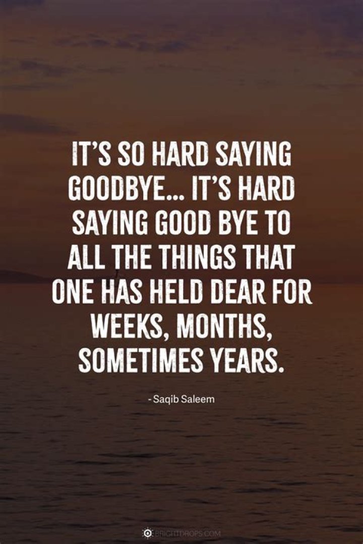 What are good QUOTES for a picture?