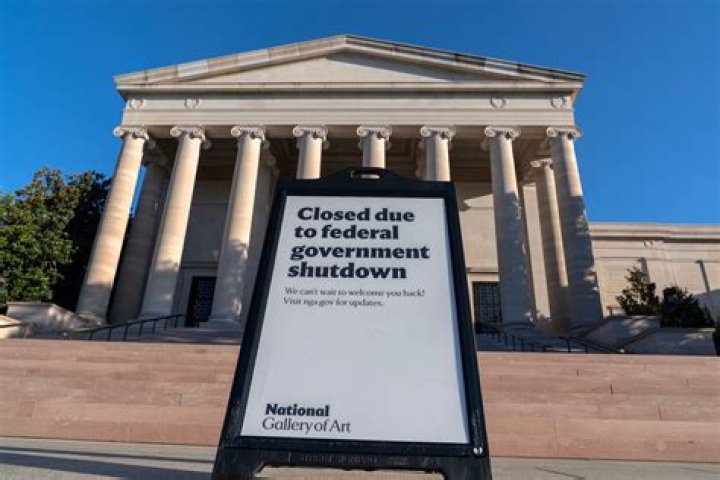 What are government libraries?
