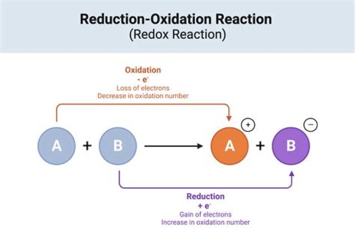What are half reactions explain with example?