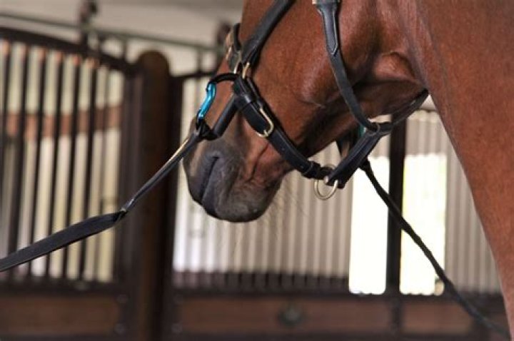 What are horse cross ties?