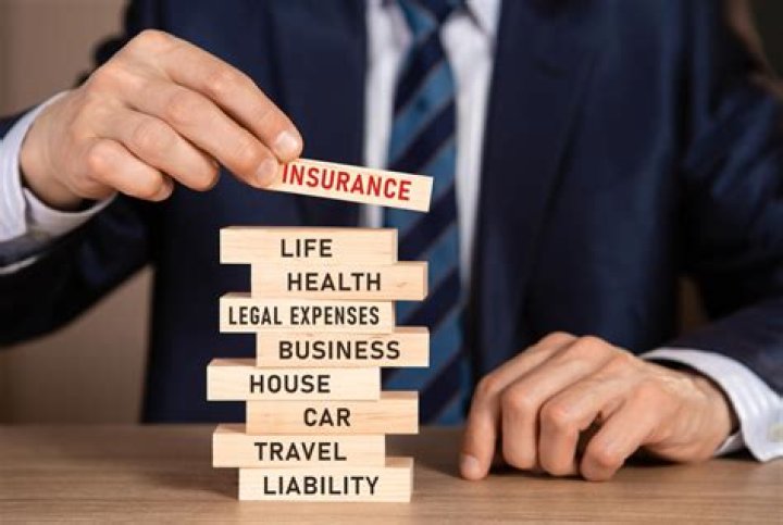 What are insurance TPAs?