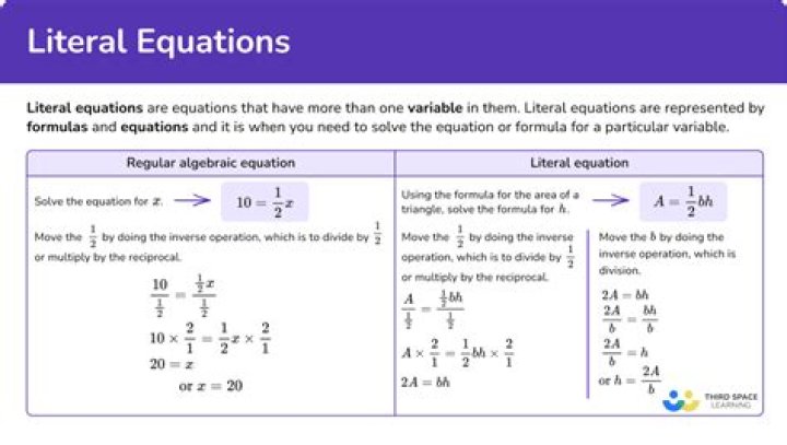What are literals in RDF?