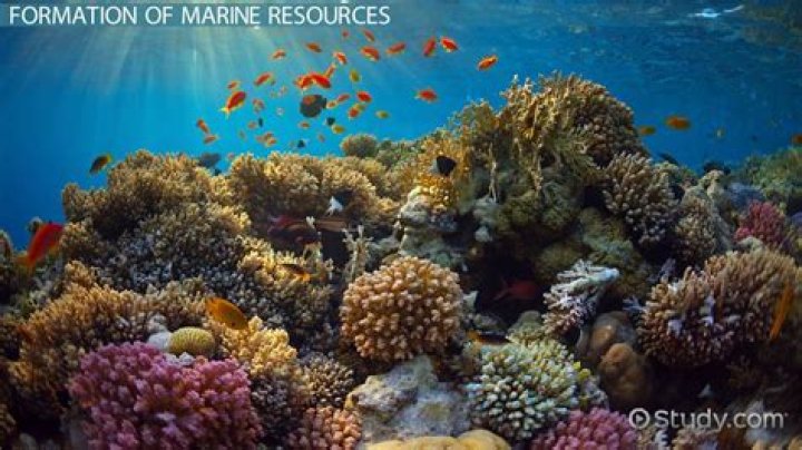 What are marine resources?