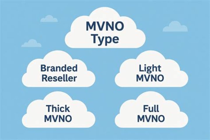 What are MVNO types?