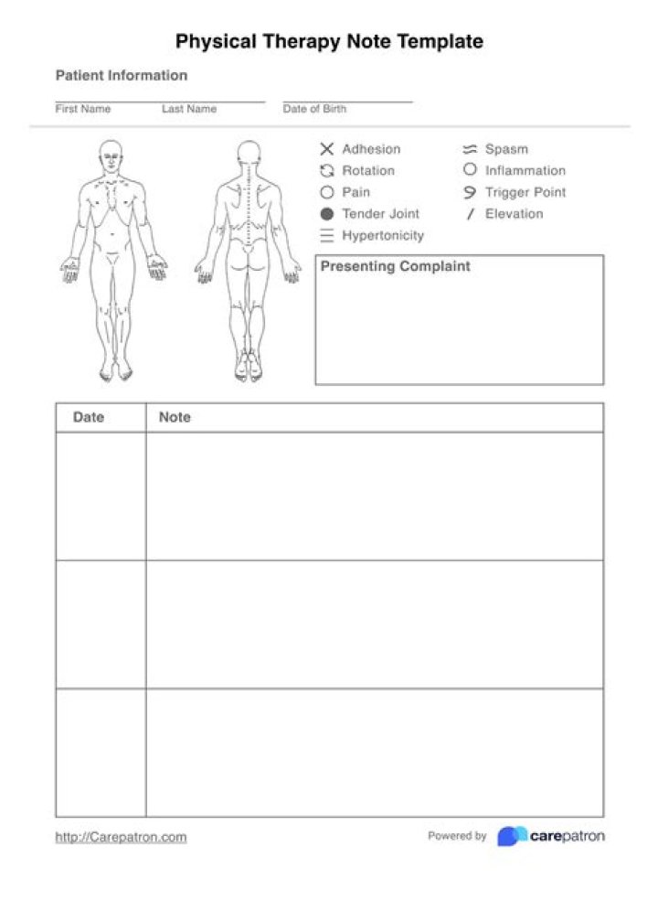 What are physical therapy notes?