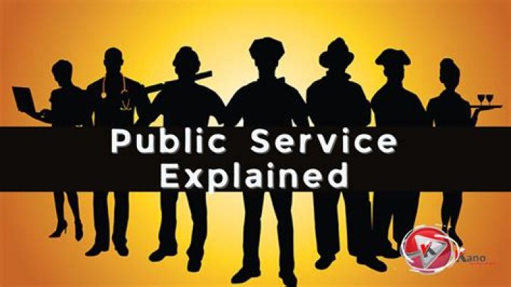 What are public service employees?