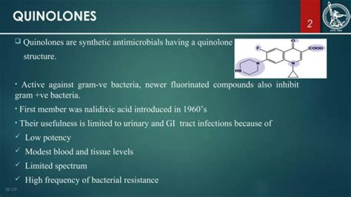 What are quinolones made from?