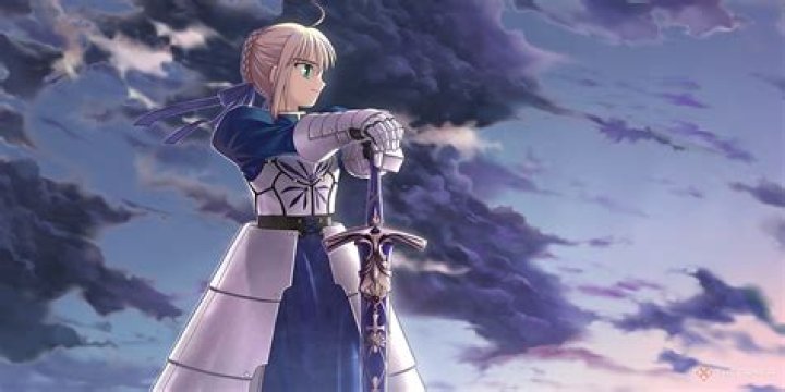 What are servants in fate?