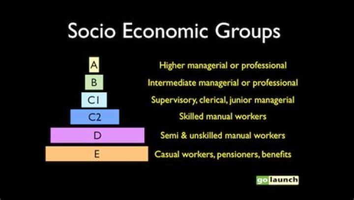 What are socio-economic groups?