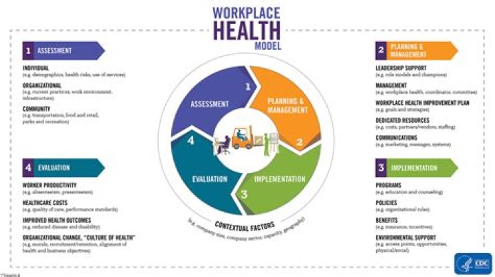 What are some examples of workplace health programs?