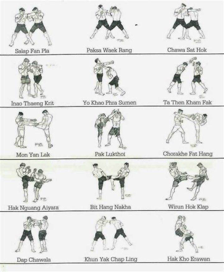 What are some fighting moves?