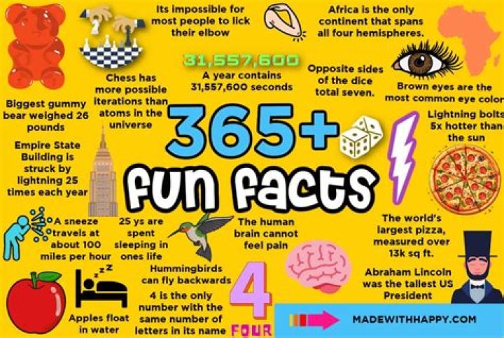 What are some fun facts about the 1940s?