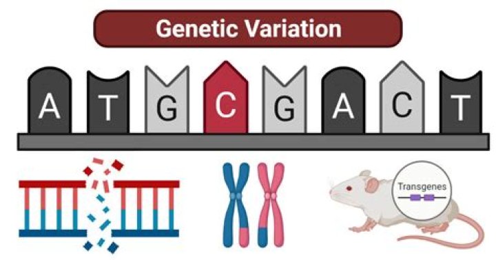 What are some genetic causes of hearing loss?