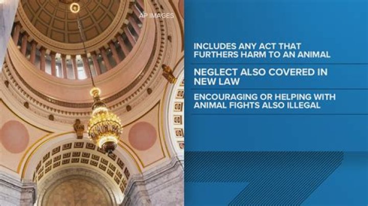 What are some laws that are debated?