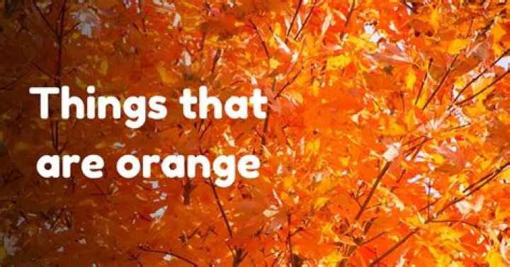What are some orange things in nature?