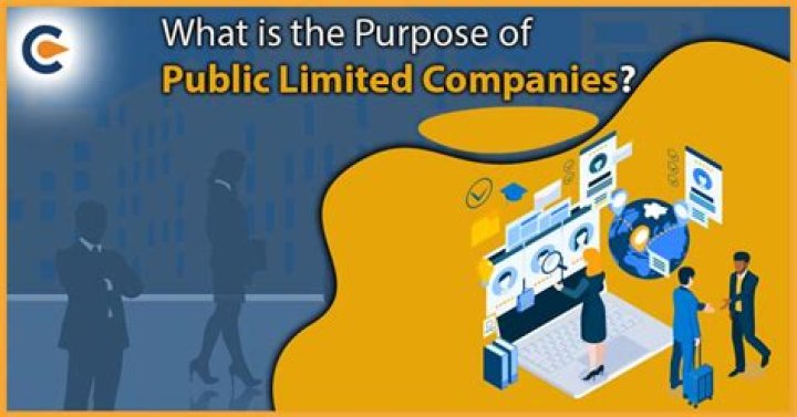 What are some public limited companies in Trinidad?