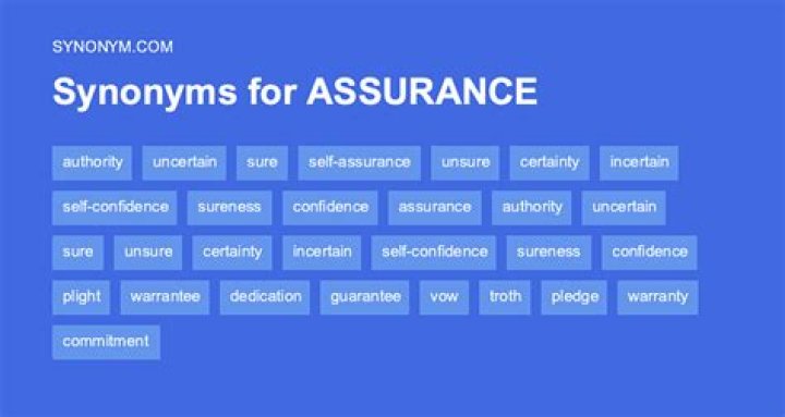 What are some synonyms for assurance?