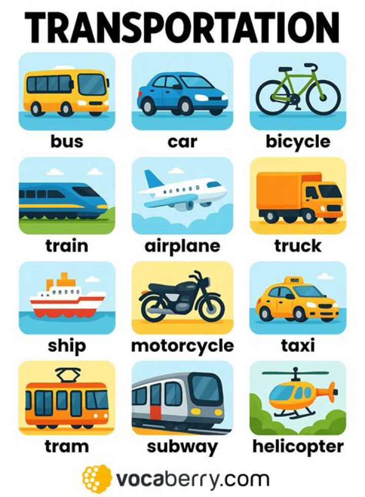 What are some transportation words?