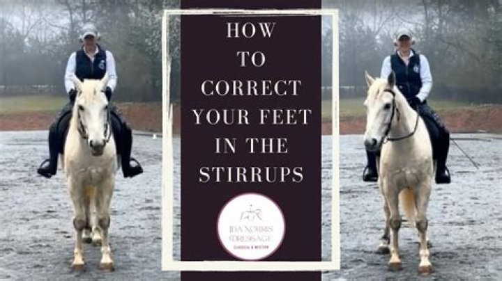 What are stirrups legs?