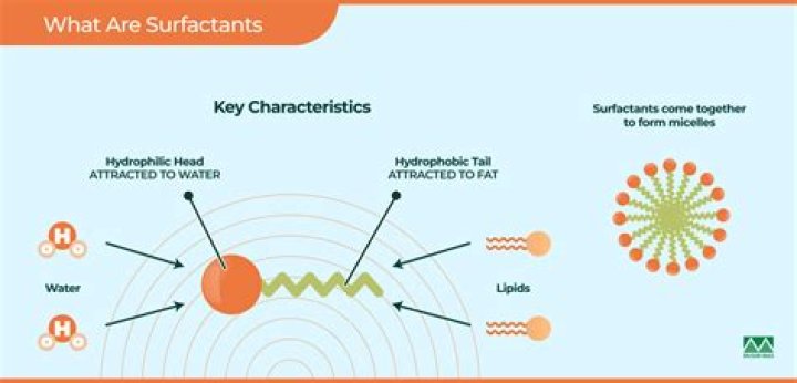 What are surfactants made of?