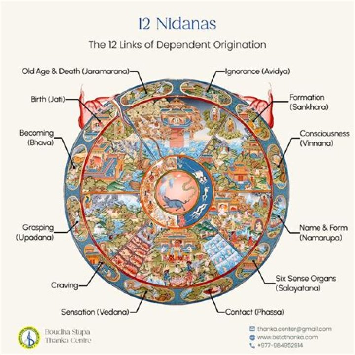 What are the 12 stages of dependent origination?