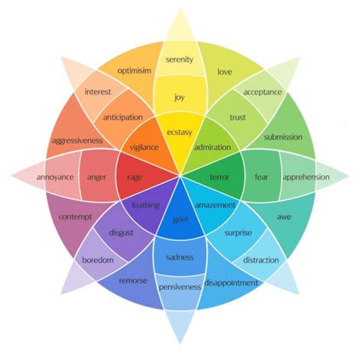 What are the 27 categories of emotion?