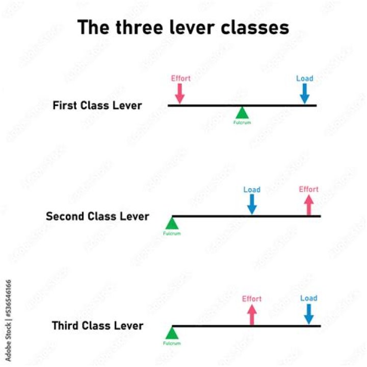 What are the 3 classes of levers?