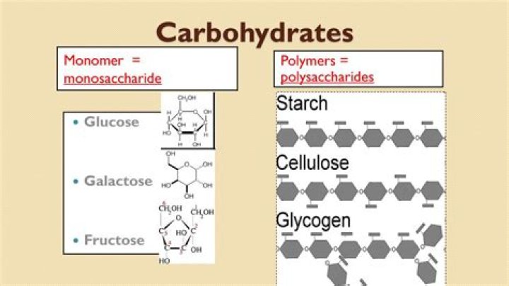 What are the 3 polymers of carbohydrates?