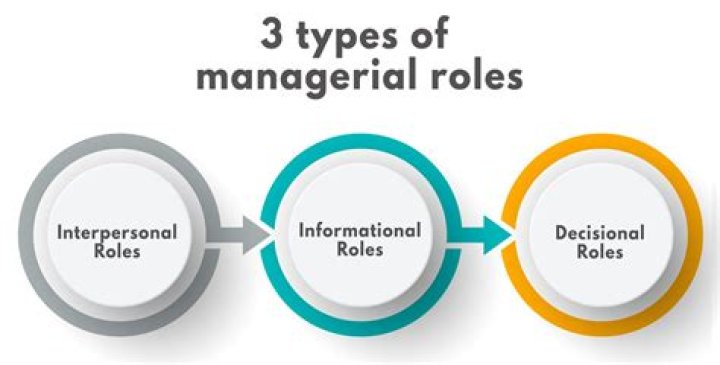 What are the 3 roles of management?