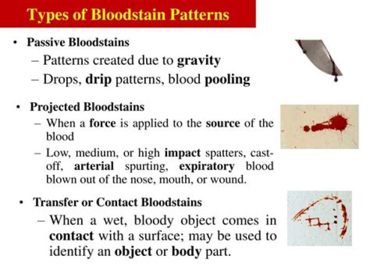 What are the 3 types of blood stain patterns?